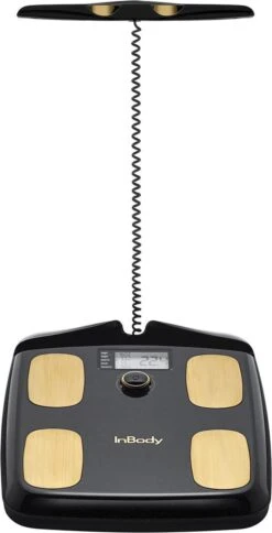 InBody Dial H20N - Smart Weegschaal Met Vet/spier Meting - Lichaamsanalyse - Bluetooth & App (Midnight Black) 16 InBody Dial H20N - Smart Weegschaal Met Vet/spier Meting - Lichaamsanalyse - Bluetooth & App (Midnight Black) -Winkel Voor Thuisgezondheidsmeetapparatuur 612x1200